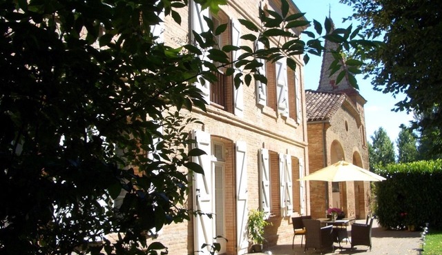 Le Platane