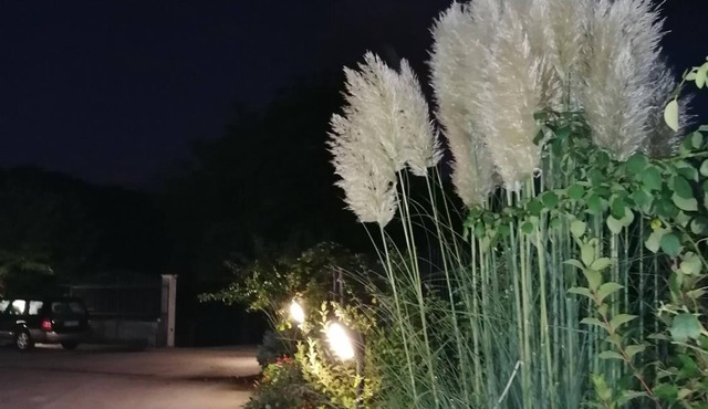 Le stanze di bacco