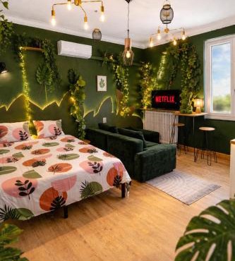 Le Studio Jungle climatisé