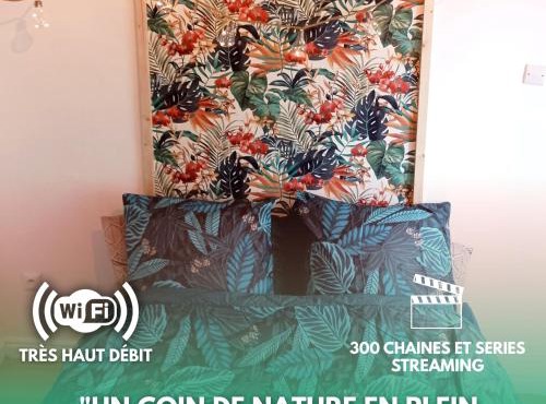Le studio Naturel