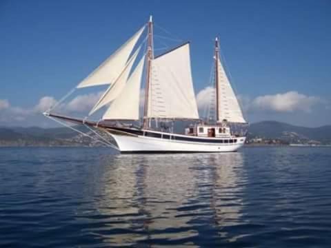 Le SUZANNA