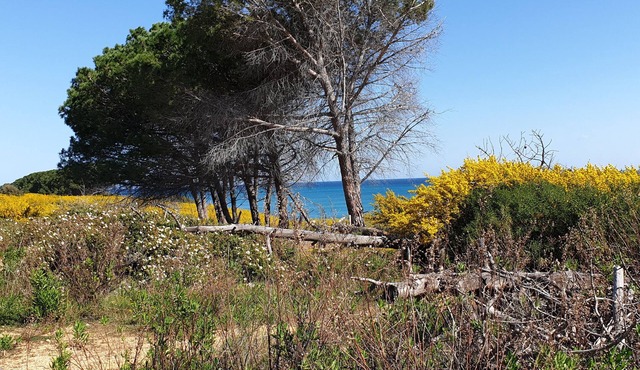 Le Temps D'une île en Tout Compris