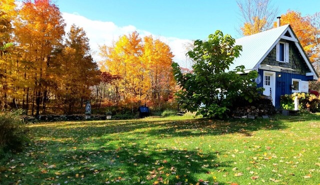 Le Temps Perdu: 88 Acre Wilderness Park between Historic Westport and Perth