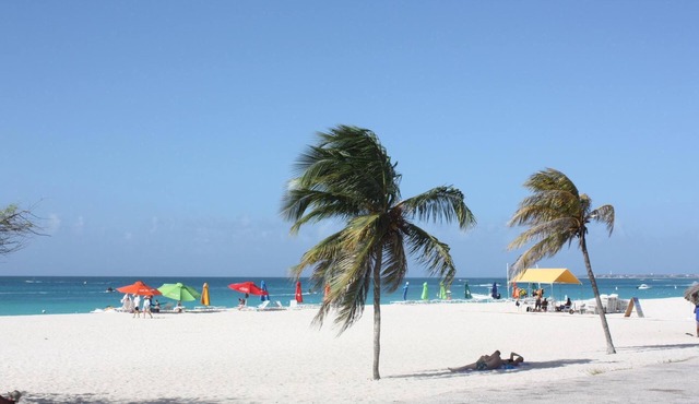 Le Vent - SEABREEZE - BeachSide Resort Eagle Beach