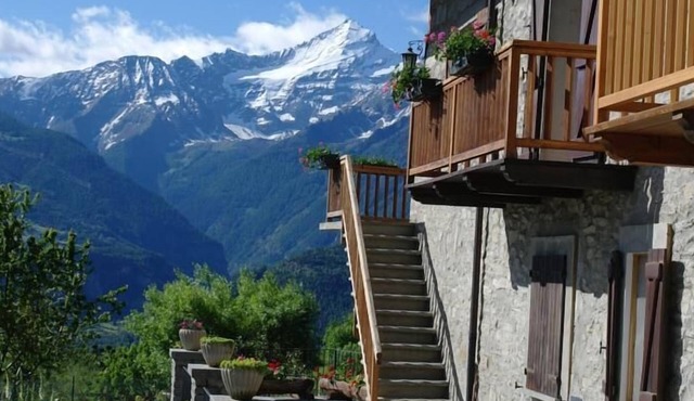 Le Vieux Noyer