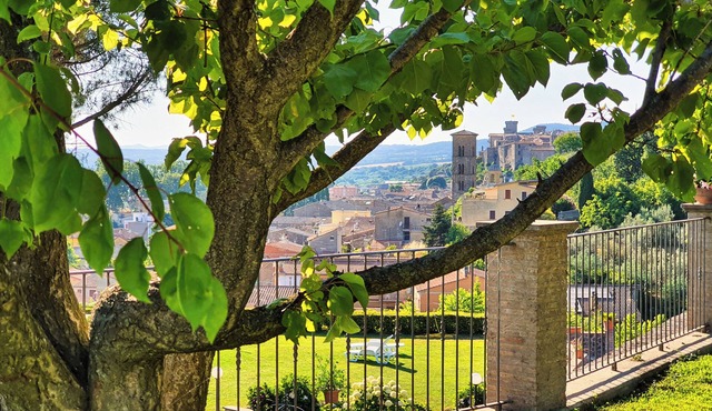 Le vigne