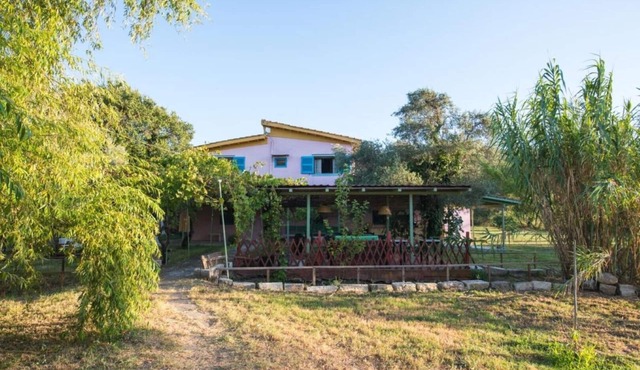 Lefkada's Bohemian Cottage
