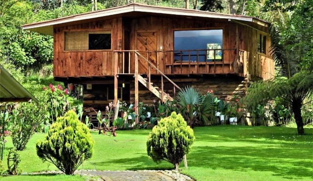 Leguaro refugio de colibríes