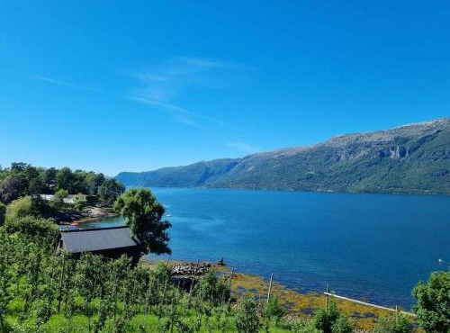 Leilighet v Hardangerfjorden