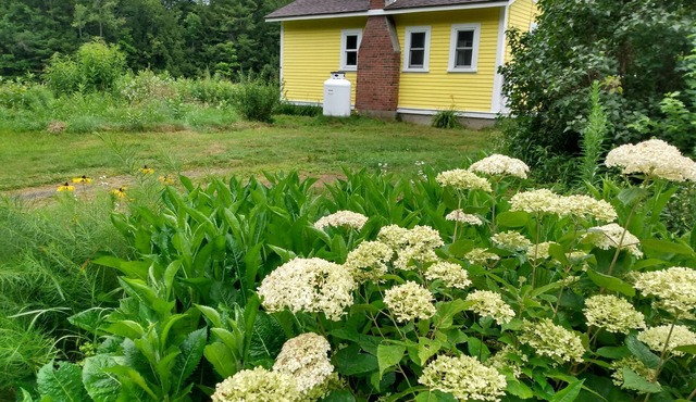 Lemon Drop Cottage a private cottage getaway