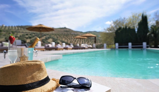 Lemon Tree Retreat at El Amparo