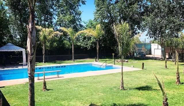 Lemon Tree Hostel Mendoza Argentina