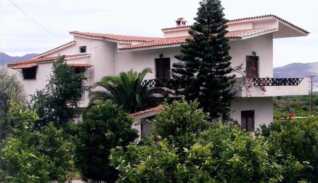 Lemon tree house