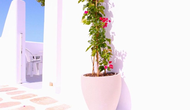 Lemon Tree Maisonette - Naoussa Paros