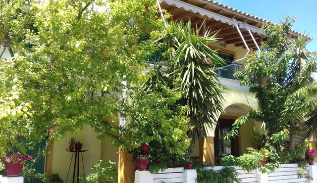 Lenia Studios