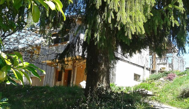 LES ACACIAS