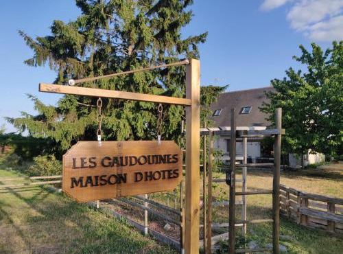 Les Gaudouines