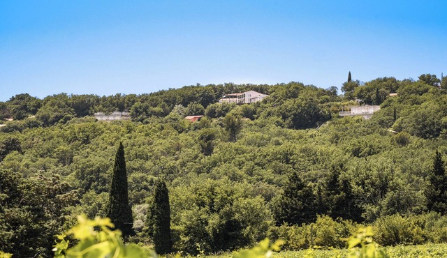 Les Hauts d'Avignon -Guesthouse -Room 4