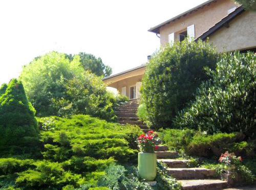 Les Iris