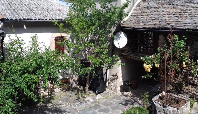 Les pruniers
