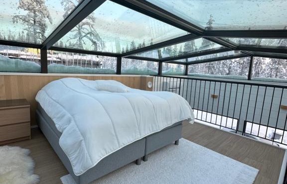 Levi Aurora Sky