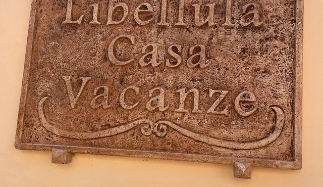 Libellula Holiday House, beautiful and cozy in the historic center of Montelibretti