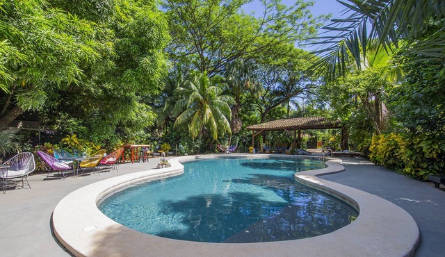 Libelula Lounge & Lodgings