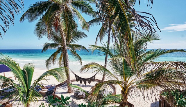 Libelula Tulum Beachfront Hotel