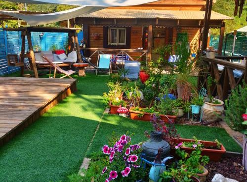 Libi Bamidbar, Healing & Relaxation Resort in The Dead Sea, Neot Hakikar