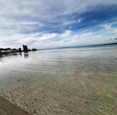 LiCaseDiMare