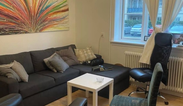 Light Cozy Studio apartment near copenhagen And close to the forest