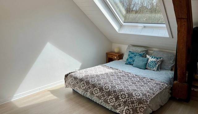 Light-filled cottage