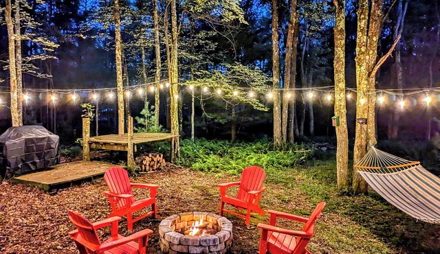 Light filled retreat in the woods