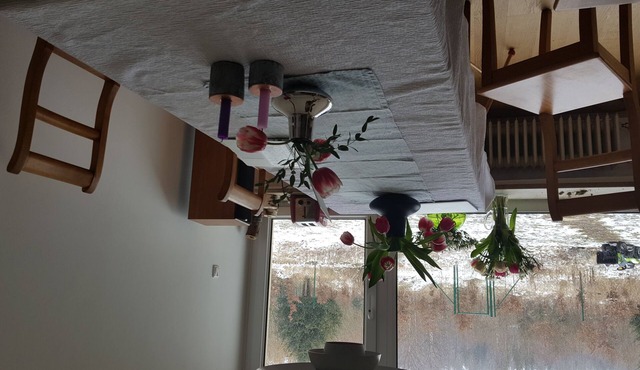 Lightfilled familyfriendly house with big garden