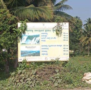 Lilly Farm
