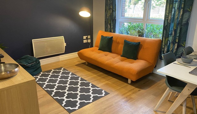 Lime Tree Apartment | Coventry