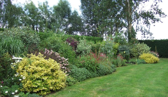 Lime Trees Farm