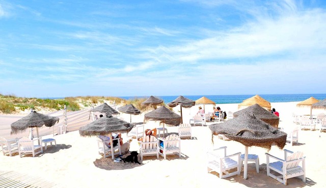 Lisbon Beach Apartments 4. Beach 5 minutes, terrace, barbecue, pets welcome