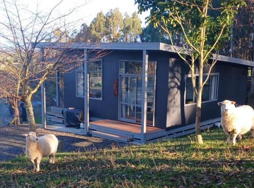 Little Forest Cabins No 3