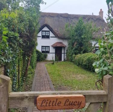 Little Lucy