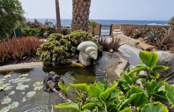 Little Paradise in El Médano 2