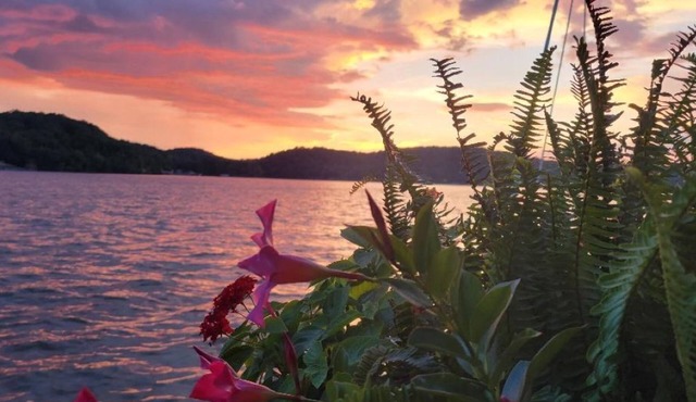 "Little River Lodge" on Weiss Lake, Private Dock & Boat Ramp. Game Room, Firepit