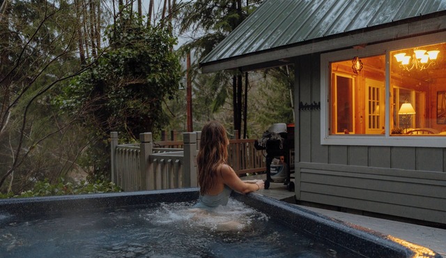 Littlefoot Lookout - big views, little cabin w/spa!