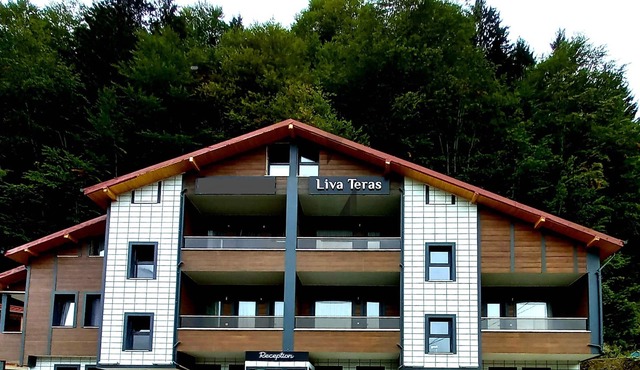 Liva Teras