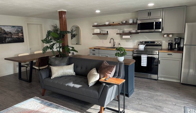 Live Work Downtown Apartment