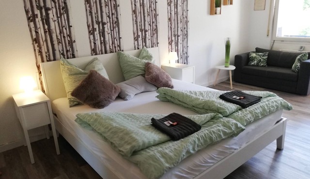 Lived-In apartment, 32sqm, 1 living/bedroom, max. 2 persons
