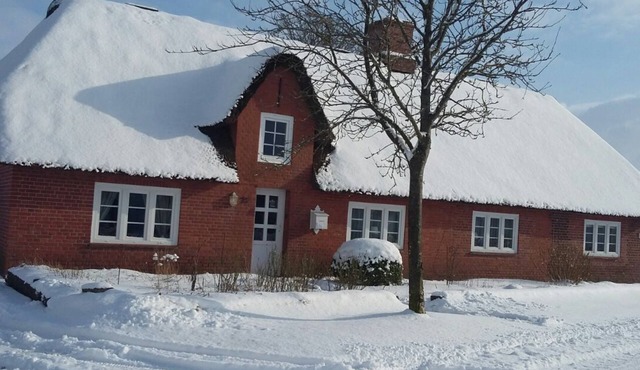 Living under a thatched roof, beautiful granny apartment near the North Sea