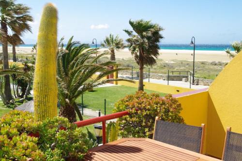 Livingtarifa Aloha