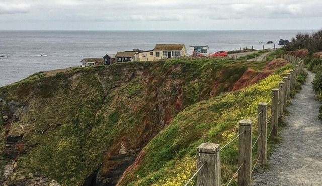 Lizard Point: A Self-Guided Photography Tour