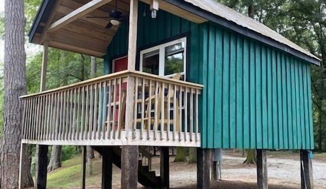 Loblolly Green
